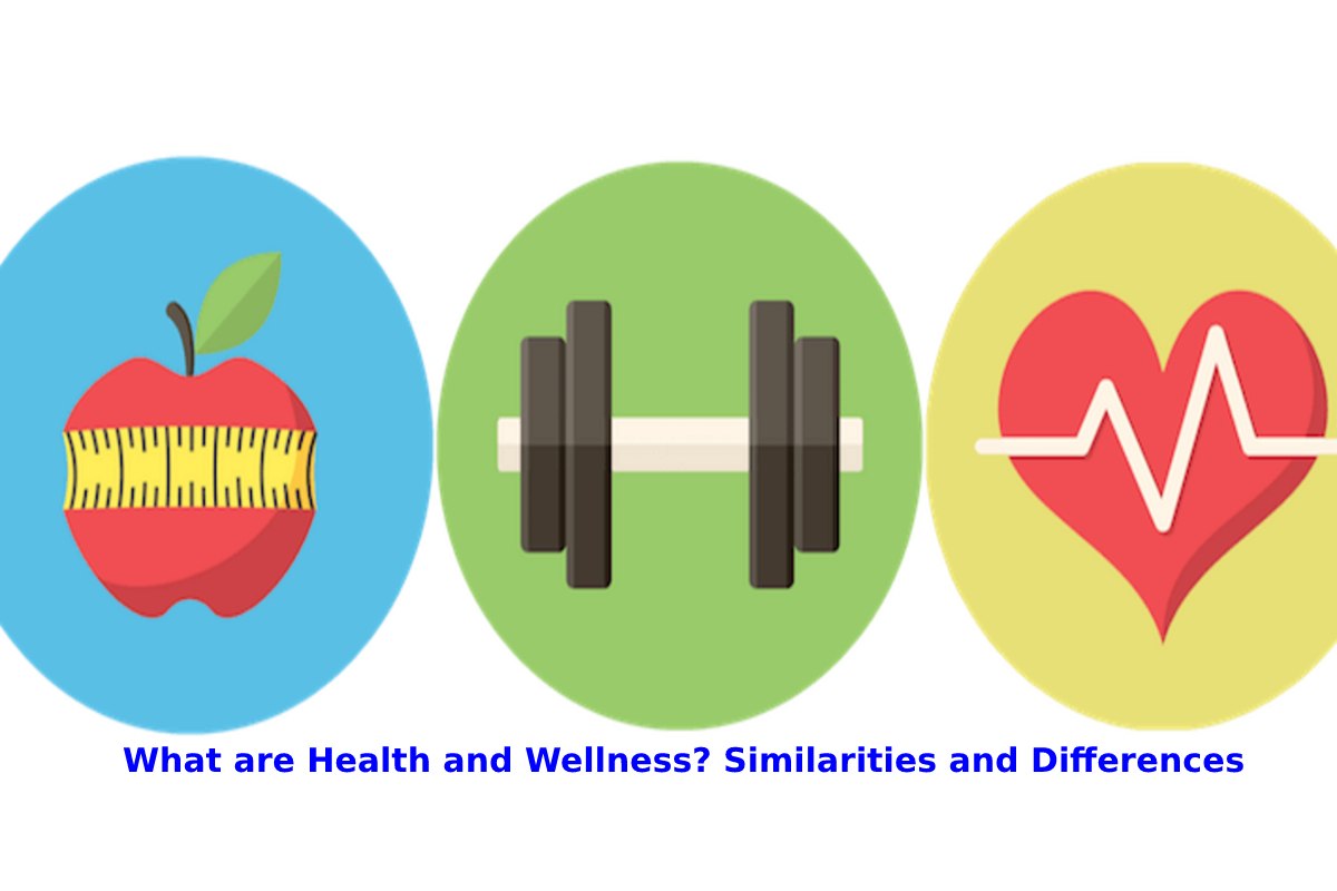 What Are Health And Wellness Similarities And Differences